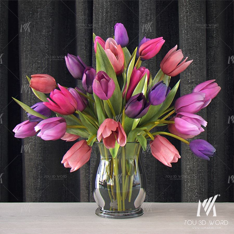 Tulips